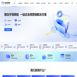 网站建设_SEO优化_网站制作_开发设计公司_黑白字母网络
